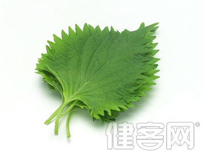 養生秘方:養肝護眼藥方