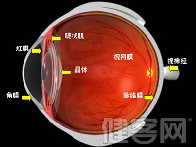 傳翻白眼保健操會致盲