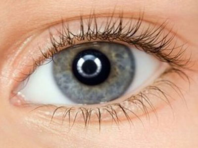 【識眼病】什麼是眼底？那些潛伏在我們身邊的眼部危機又是什麼？