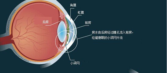 重視眼底病，檢查與預防缺一不可