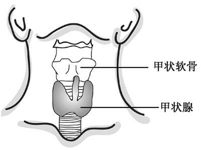 甲狀腺不好 要看看眼睛