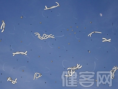 飛蚊症能治好嗎?
