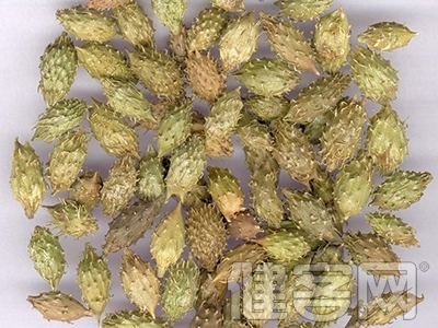 中醫應怎麼樣治療中間葡萄膜炎？