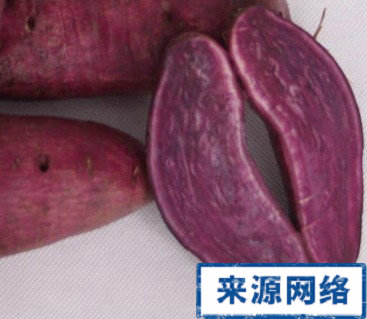 吃什麼對眼睛有好處 對眼睛有好處的食物 如何緩解眼睛疲勞