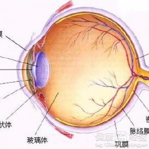 青光眼的早期症狀會有哪些