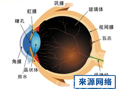 治療白內障 白內障手術 人工晶體 晶狀體混濁
