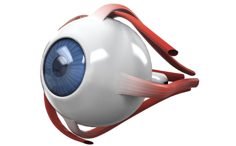 青光眼能治好嗎 青光眼治療方法 青光眼早期症狀