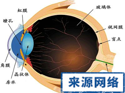 青光眼 近視 視野 眼睛 眼鏡 視力