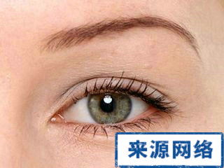 中醫 治療沙眼 中醫療法 療效 沙眼衣原體 角膜炎 傳染