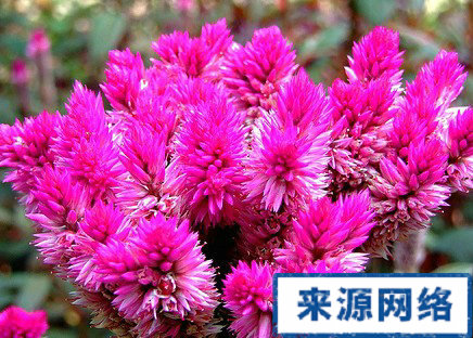 老花眼偏方 治療老花眼的方法 老花眼能治嗎