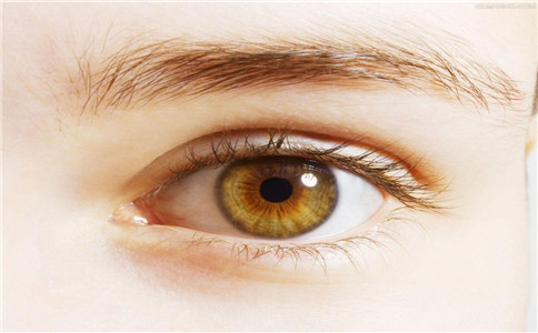 如何愛護眼睛 如何避免傷眼 傷眼的行為有哪些