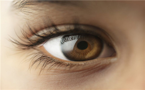 爛眼邊怎麼治 爛眼邊是怎麼回事 爛眼邊臨床表現