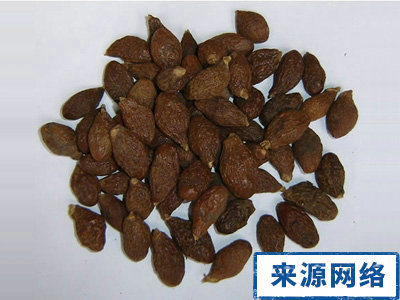 紅眼病 胖大海 中藥 治療紅眼病 流行病 嗓子疼