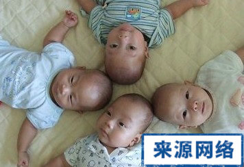 早產兒視網膜病變 早產兒 視網膜病變 視網膜 白瞳症